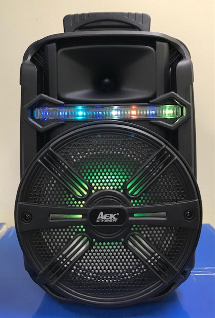 Bluetooth Speaker AEK S-10807 (8 Inch)