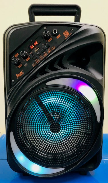 Bluetooth Speaker AEK S-10813 (8 Inch)